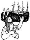 47ordinarioC23.jpg (71995 bytes)